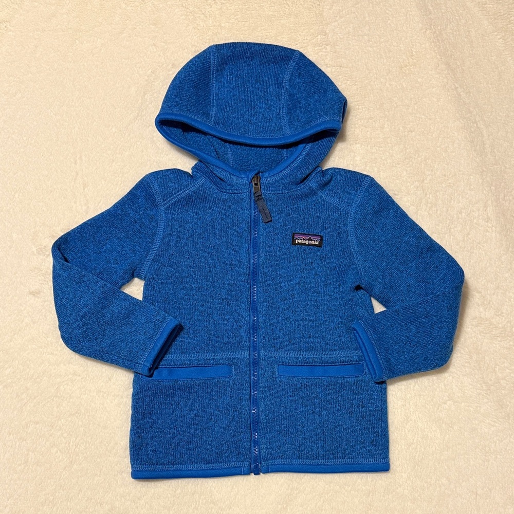 Patagonia Hooded Better Sweater